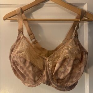 Elomi Lace Trimmed Bra - Morgan Underwire Bra with Underband